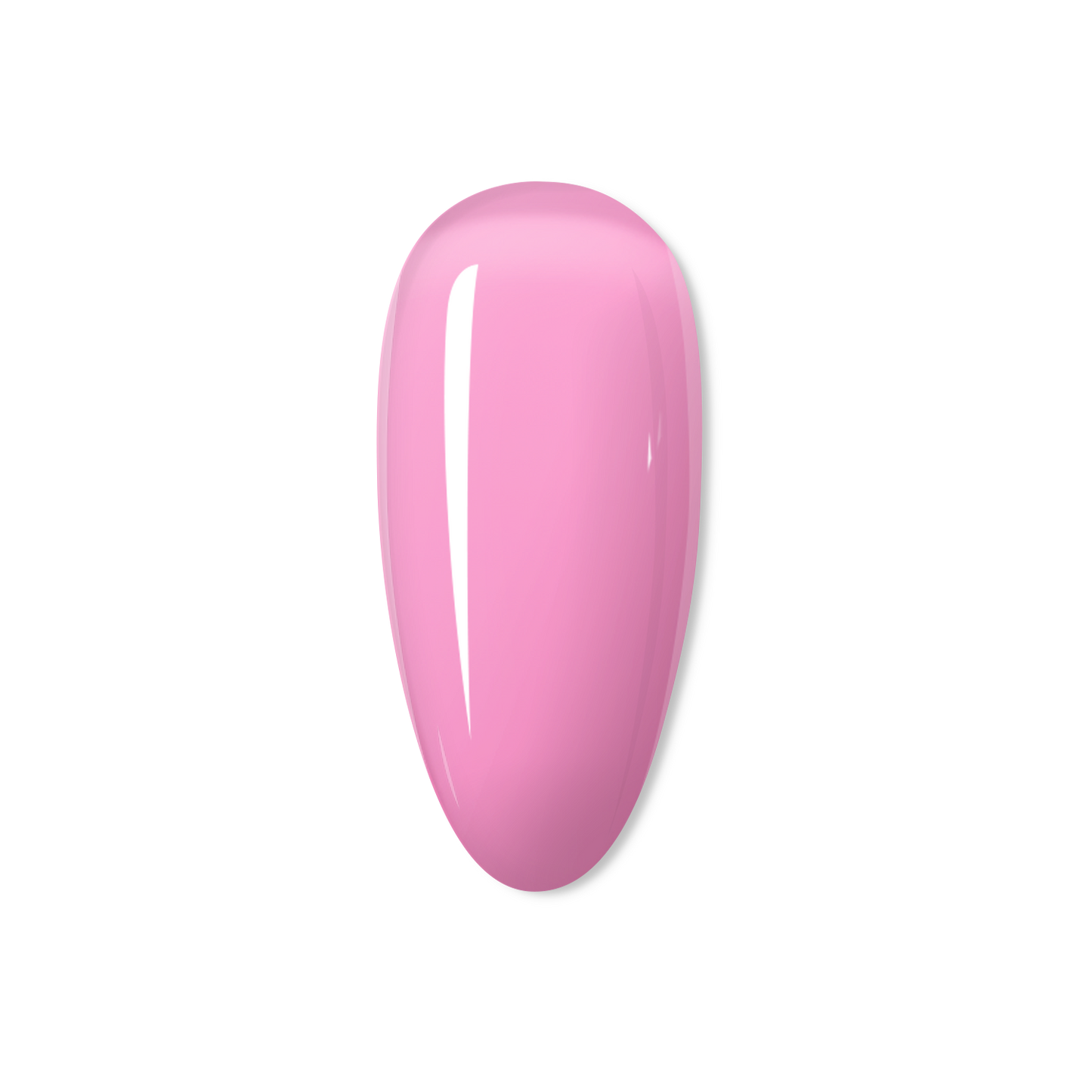 Bubblegum - THE JELLY COLLECTION