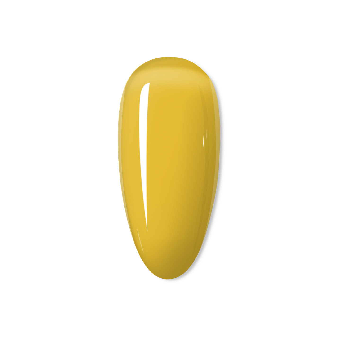 Honey - THE JELLY COLLECTION
