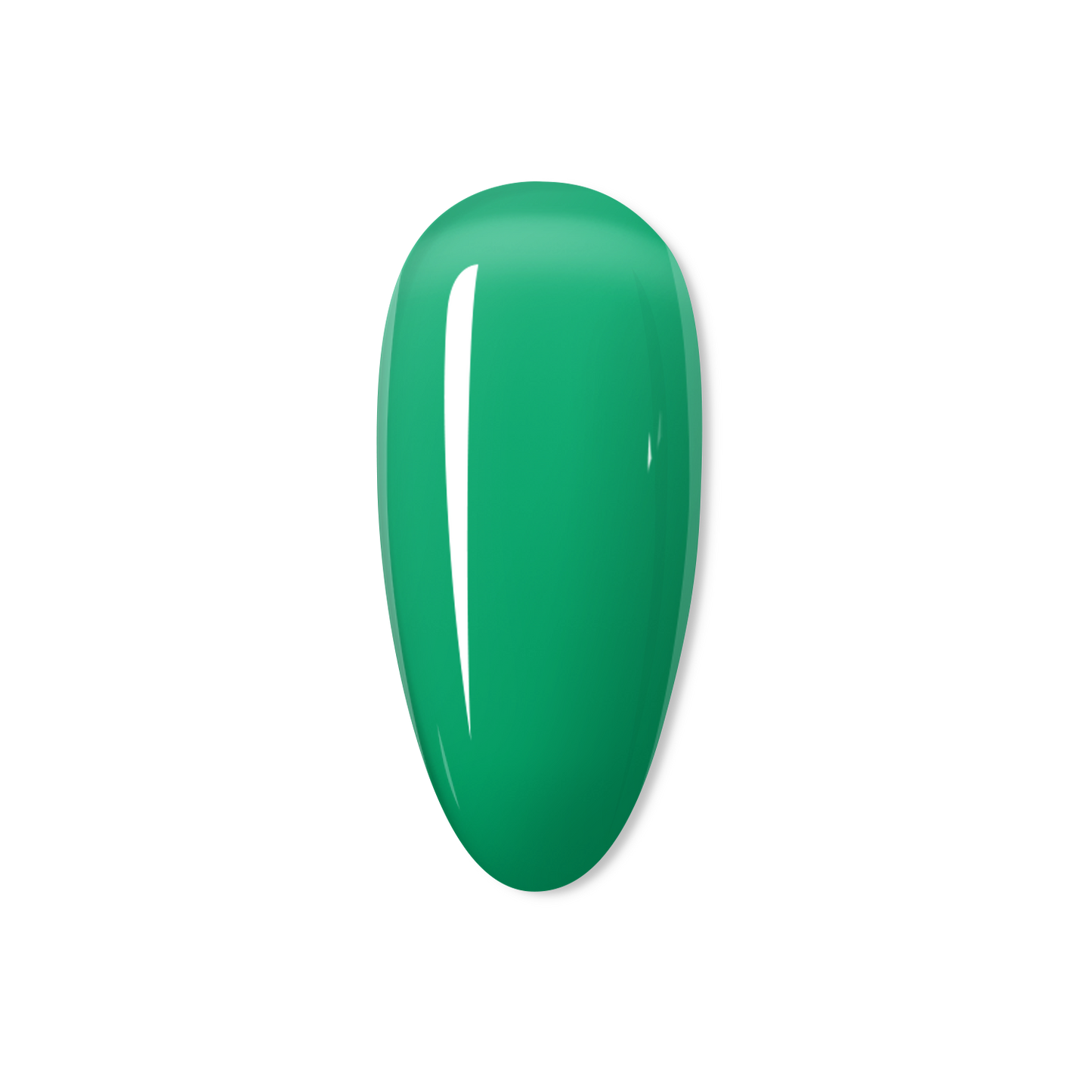 Lime Cordial - THE JELLY COLLECTION