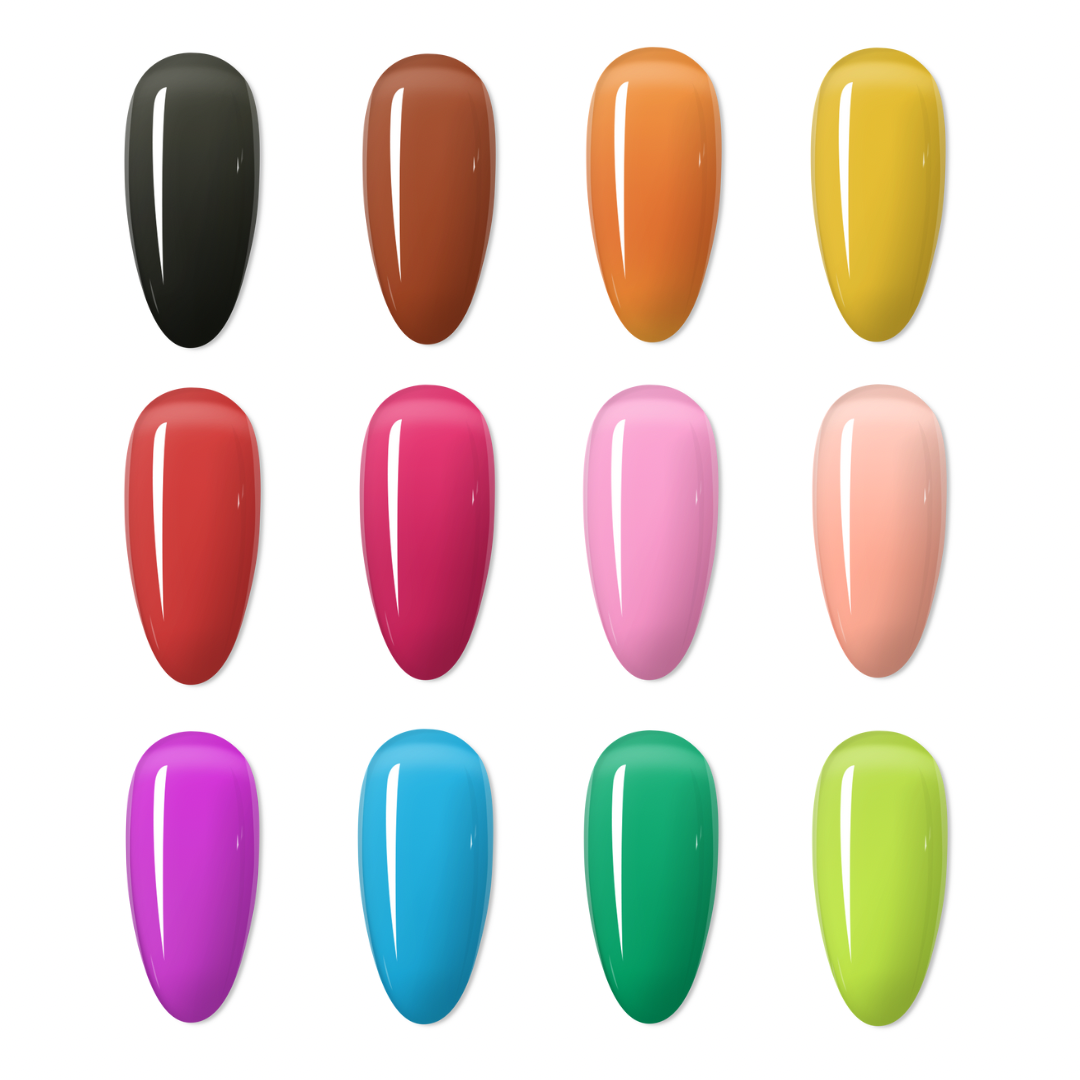 The Jelly Collection