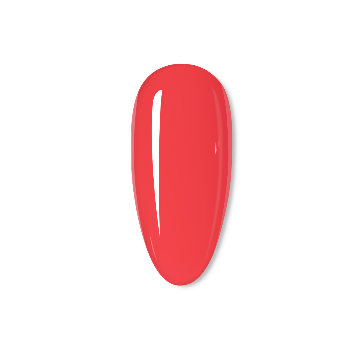 Coralicious