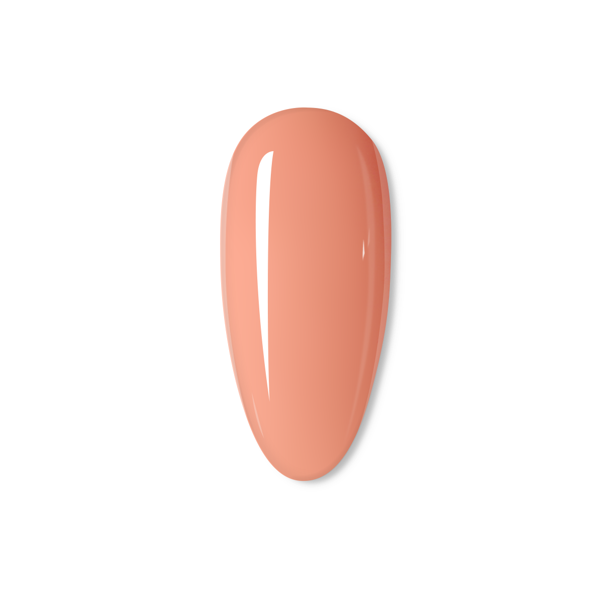 Apricot
