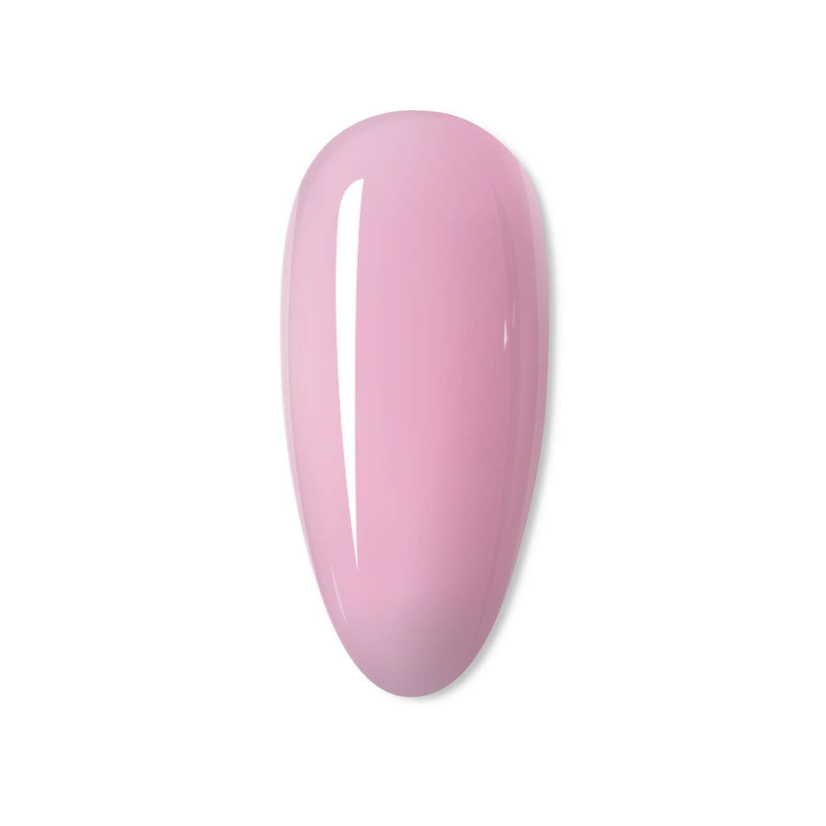 Dolly Xtend Builder -BIAB