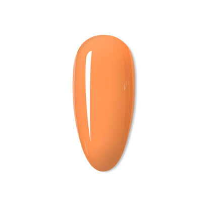 Peach- THE PASTEL COLLECTION