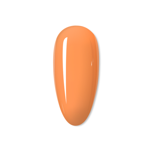 Peach- THE PASTEL COLLECTION
