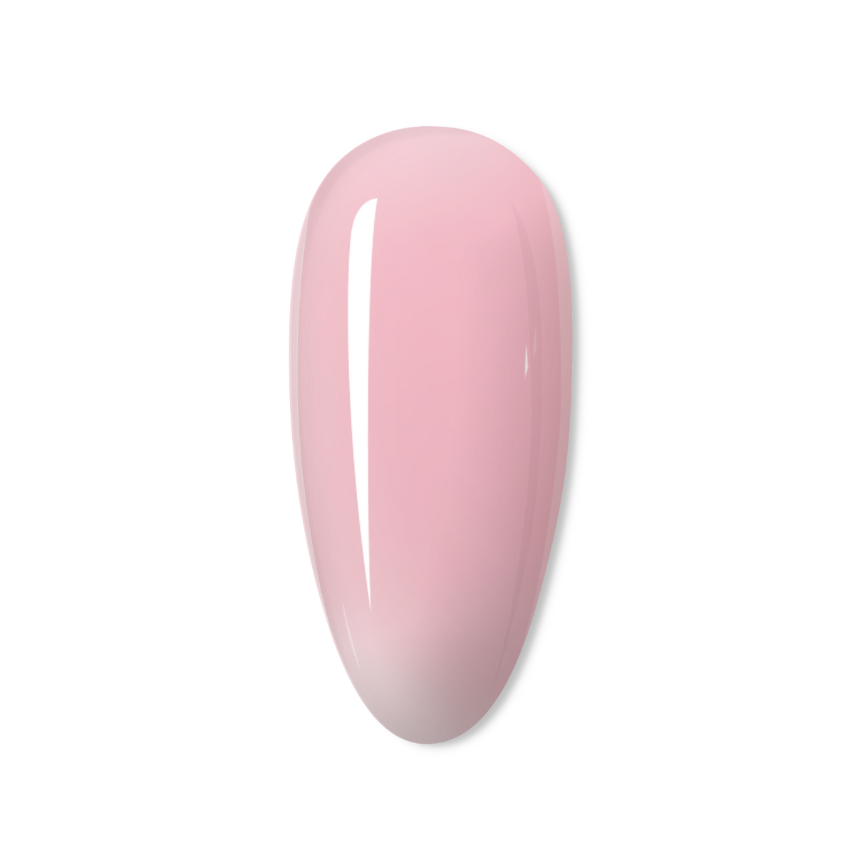 Poppy Xtend Builder -BIAB