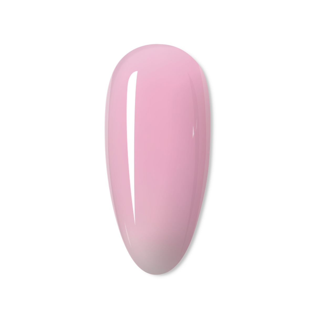 Lottie Xtend Builder -BIAB
