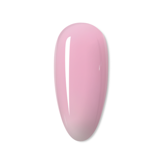 Lottie Xtend Builder -BIAB