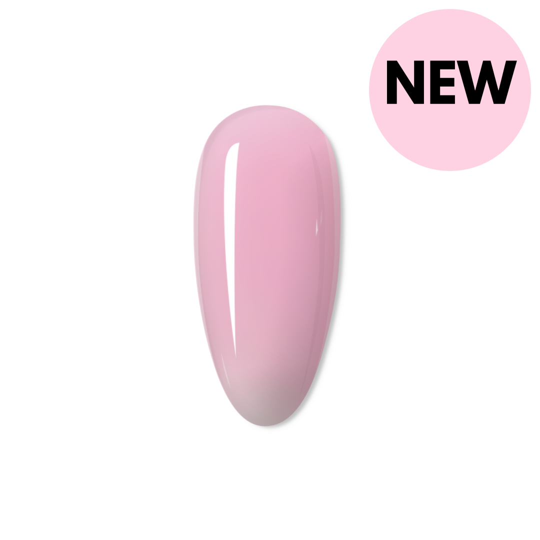 Lottie Xtend Builder -BIAB
