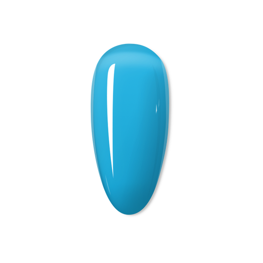 Blueberry - THE JELLY COLLECTION