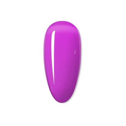 Grape - THE JELLY COLLECTION