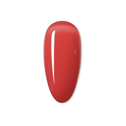 Red Frogs - THE JELLY COLLECTION