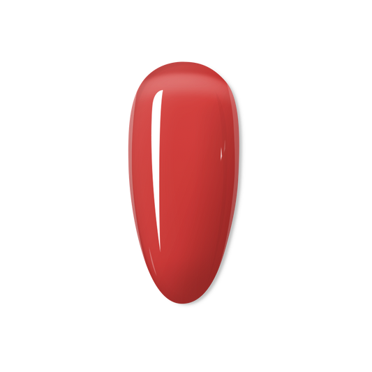 Red Frogs - THE JELLY COLLECTION