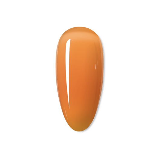 Marmalade - THE JELLY COLLECTION