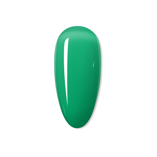 Lime Cordial - THE JELLY COLLECTION