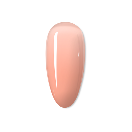 Tutti Frutti -THE JELLY COLLECTION