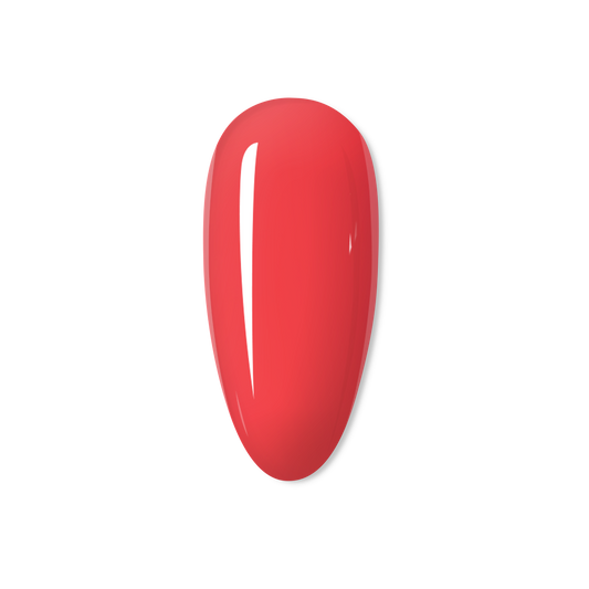 Coralicious