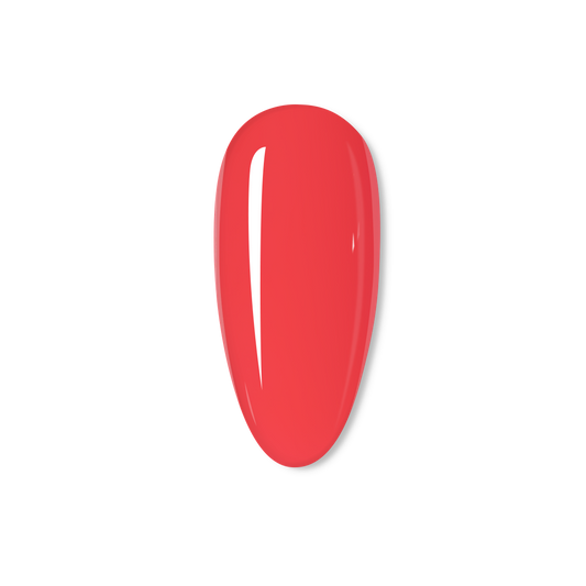 Coralicious